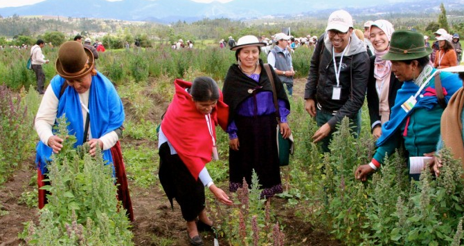 Quito será la sede de un encuentro regional sobre agricultura y estadística