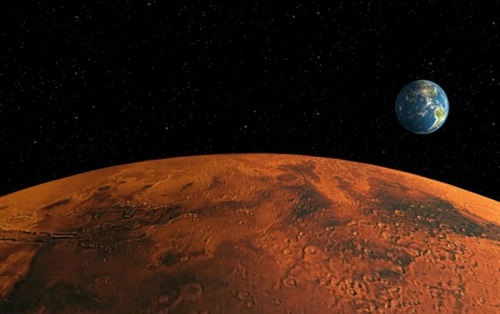 Revuelo en la NASA: descubren animal capaz de reproducirse en Marte