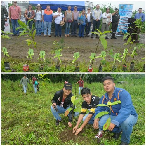 Quevedo: Inicia proyecto “Reforestando la Provincia de Los Ríos”.