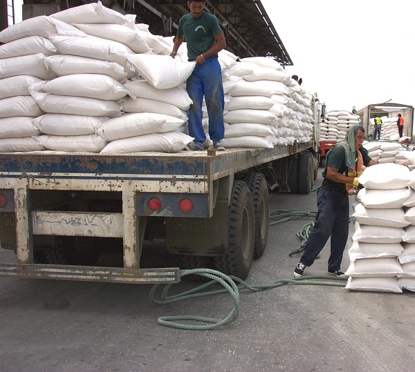 Ecuador ya exporta arroz a Colombia