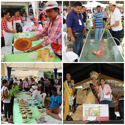 Los Ríos: Feria campesina marca el inicio de la cosecha del maíz