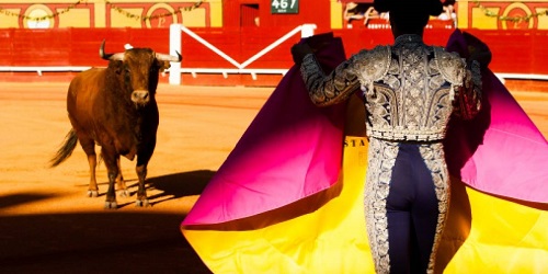 Quito: Éste viernes se sabrá si se suprimen las corridas de toros