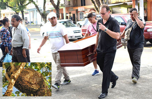 Muere quevedeño picado por abejas en recinto del cantón Valencia