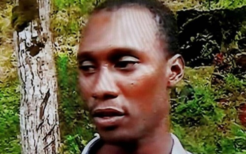 Medios colombianos confirman captura de hombre de confianza de ‘Guacho’