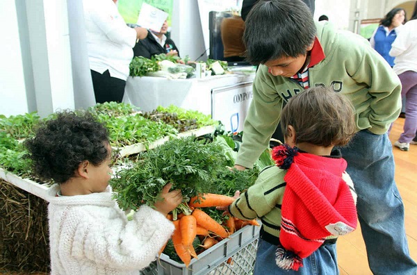 Es posible reducir la desnutrición infantil en Ecuador, según estudio