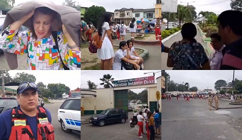 Ataque de abejas en Colegio Nicolás Infante Díaz de Quevedo obliga a suspender clases (Video)