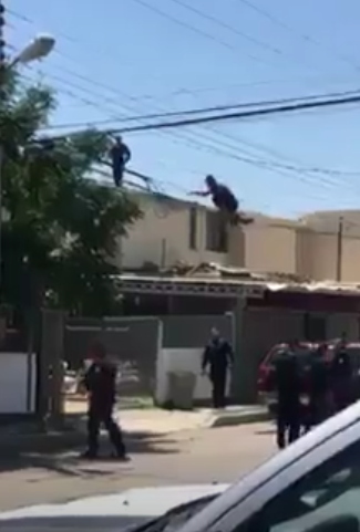 Ladrón intenta escapar de la policía, colgado de cables de luz