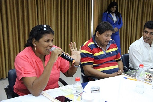 Los Ríos: ciudadanos participan activamente en sesiones de Consejo