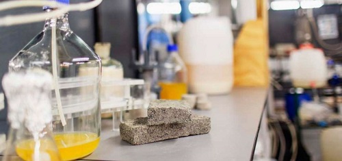 Estudiante de sudafrica crea el primer «bioladrillo» hecho con orina humana