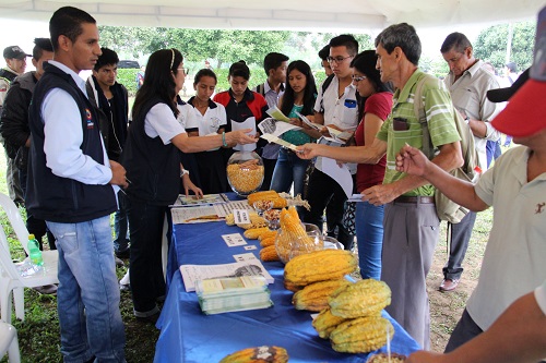 La cuarta feria anual de cacao será en Vinces