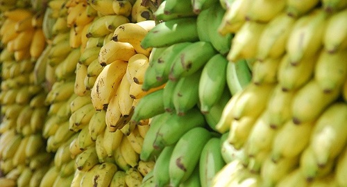 Hayan en Polonia 160 kilos de cocaína en cajas de banano procedentes de Ecuador
