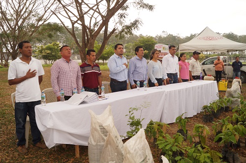 50.000 plantas de cacao fueron entregadas a comunidades de Valencia