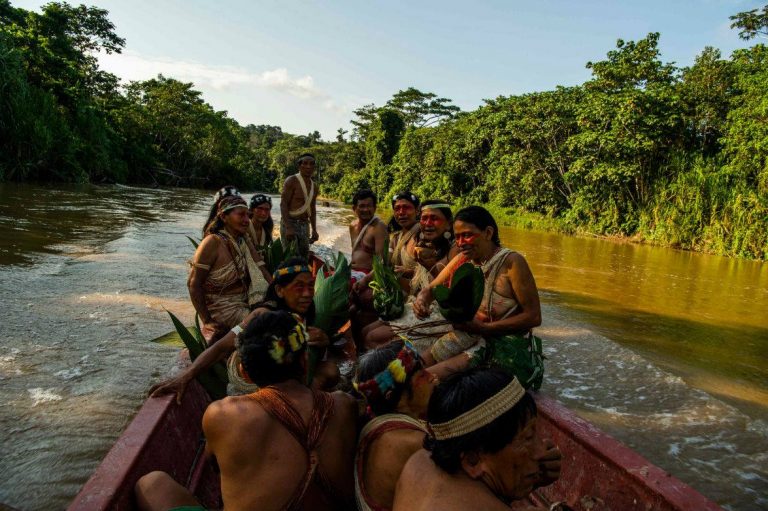 Waoranis consiguen fallo judicial para frenar avance de explotación petrolera en Amazonía