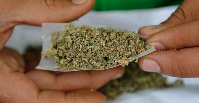 Policía Nacional incautó cerca de 70.000 dosis de marihuana en Carchi