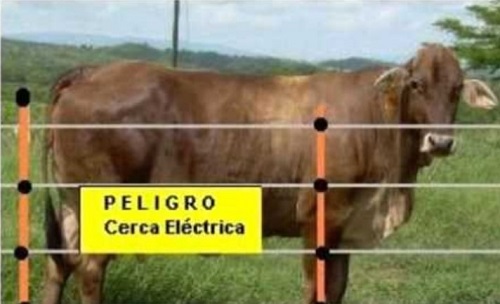 Gobierno de Los Ríos entregará cercas eléctricas móviles a ganaderos