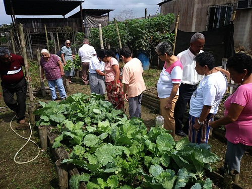 Adultos mayores con vida activa