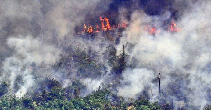 Así captan los satélites los incendios forestales en la Amazonía