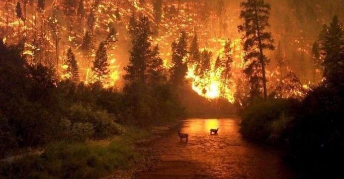 Estas son las imágenes falsas viralizadas por incendios en Amazonía