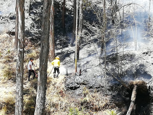 Emergencias en Bolívar fueron atendidas por entidades articuladas al ECU 911