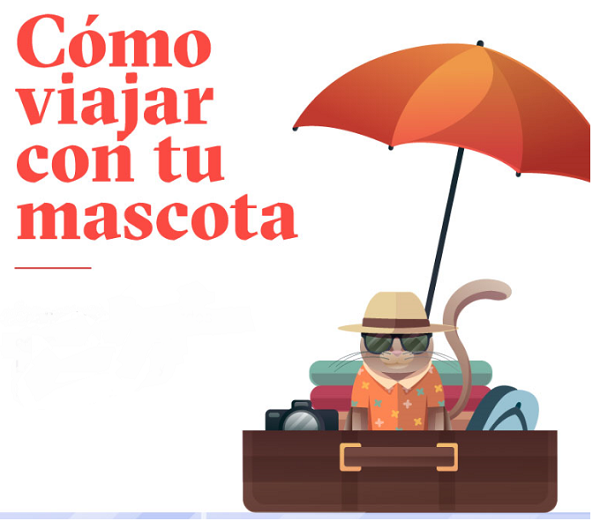 ¿Cómo viajar con tu mascota?