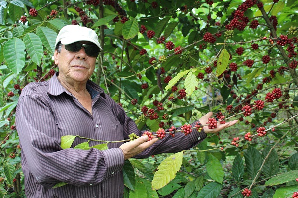 “Festival de Café Cuatro Mundos Ecuador” proyecta el potencial cafetero del país