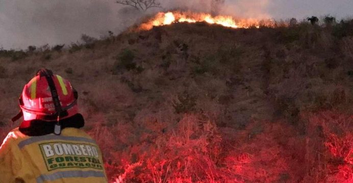 Incendio forestal quemó 120 hectáreas de vegetación en Guayaquil