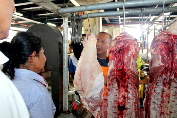 Quevedo: Controlan que la carne porcina y de ganado sea faenado en el Camal Municipal