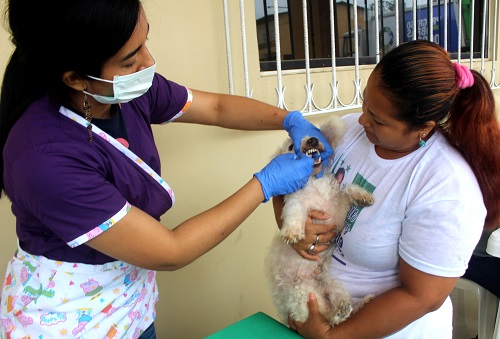 Quevedo: Campaña de atención veterinaria culminó en la parroquia San Carlos