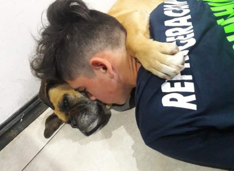 Una perra murió abrazada a su dueño mientras sufría por la pirotecnia