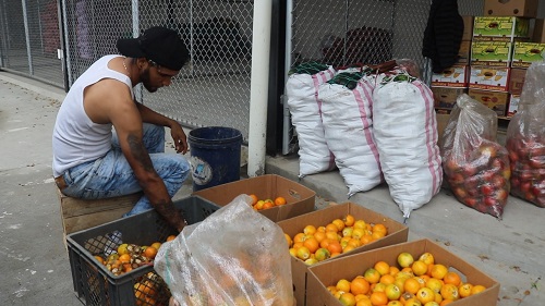 Quevedo: Comerciantes mayoristas ya laboran en el mercado de San Camilo