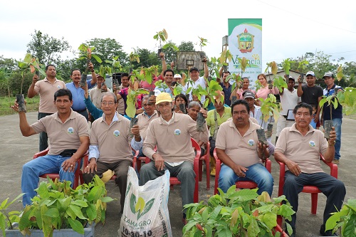 Agricultores en Valencia recibieron 6.000 plantas de Cacao