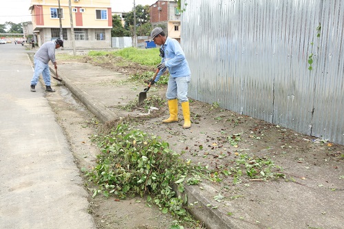 Municipio de Babahoyo realiza labores de arborización y limpieza