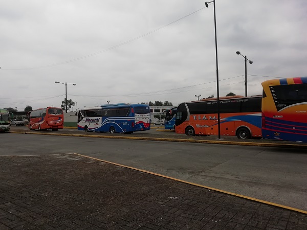 Se analiza la reanudación de la transportación de pasajeros Intra e Interprovincial en Los Ríos