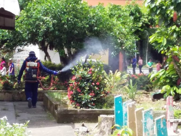 Autoridades sanitarias piden cuidarse de otros enemigos silencios: el dengue y el paludismo
