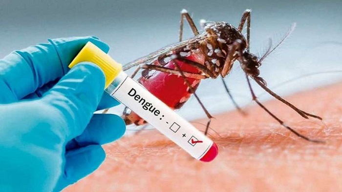 MSP realiza visitas domiciliarias, fumigaciones y rociados para combatir el dengue