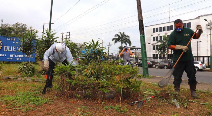 Con maquinaria municipal realizan Limpieza de estero, parques y áreas verdes en Quevedo