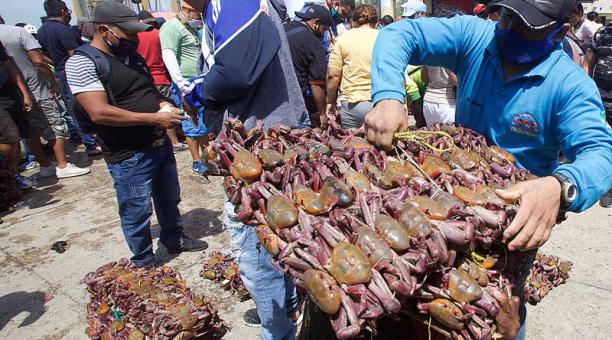 ¡A comer cangrejo! terminó la veda de este crustáceo