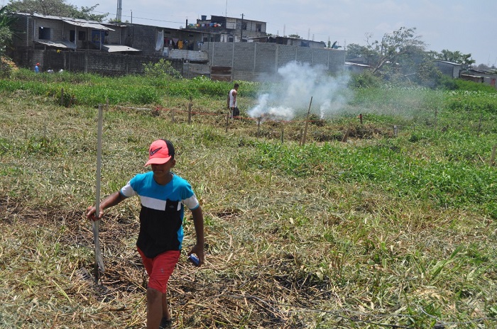 Invasiones de tierras, un problema de nunca acabar en Quevedo