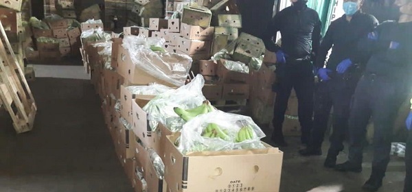 En Machala, detectan millonario cargamento de droga camuflada en cajas de banano