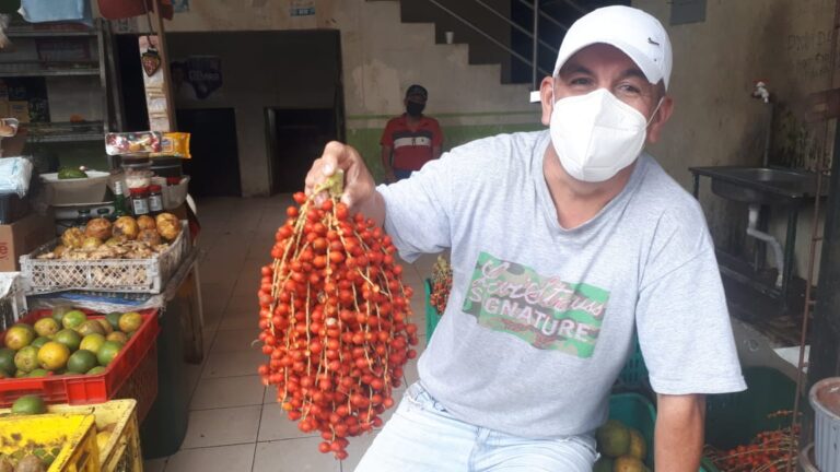 La chontilla ya se puede ver en los mercados para la tradicional chicha