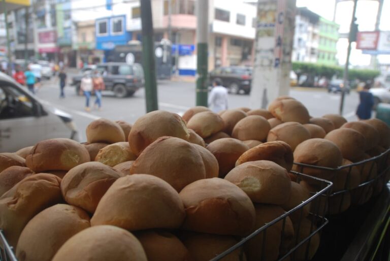 Pan a $0.15 centavos proponen los panaderos de Babahoyo