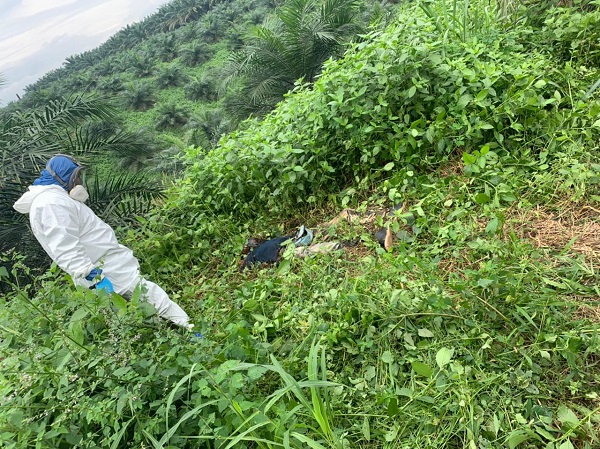 Hallan un cadáver en descomposición en la vía a Cañalito