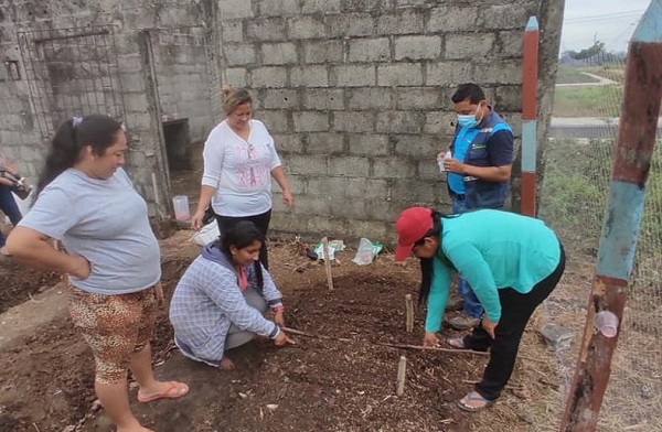 Huerto comunitario una opción saludable en Palenque