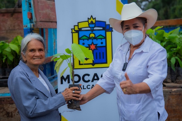 Proyecto orientado a los adultos mayores y personas con discapacidad entrega cacao injerto