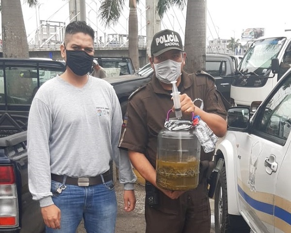 Quevedo: De la forma más casual un hombre cargaba a una culebra en un frasco