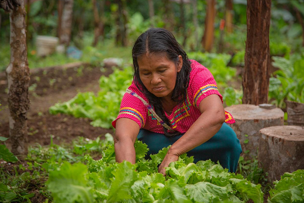 15 de octubre: Día Internacional de las Mujeres Rurales