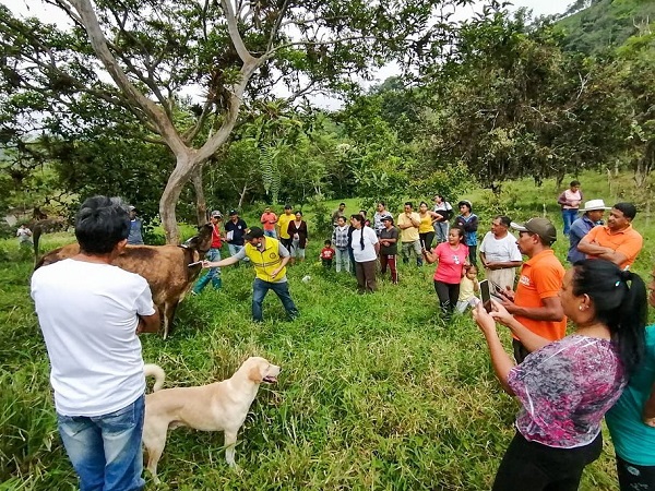 Pequeños y medianos productores de Valencia reciben charlas sobre el cuidado del ganado