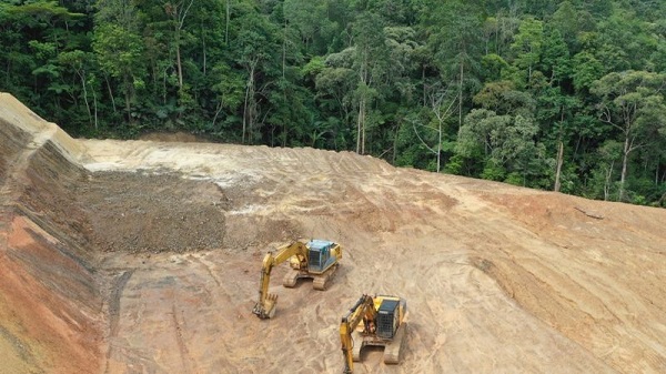 El 2030 es el tope que se impusieron líderes globales para acabar con la deforestación