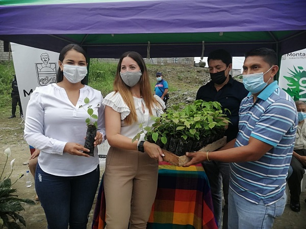 Inicia reforestación con Guayacanes en el cantón Montalvo