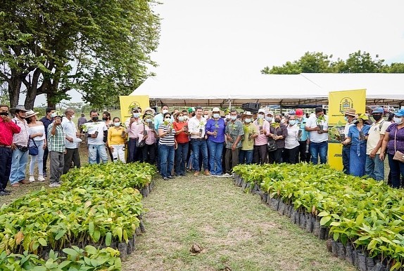 Entregan plantas de cacao a productores vinceños